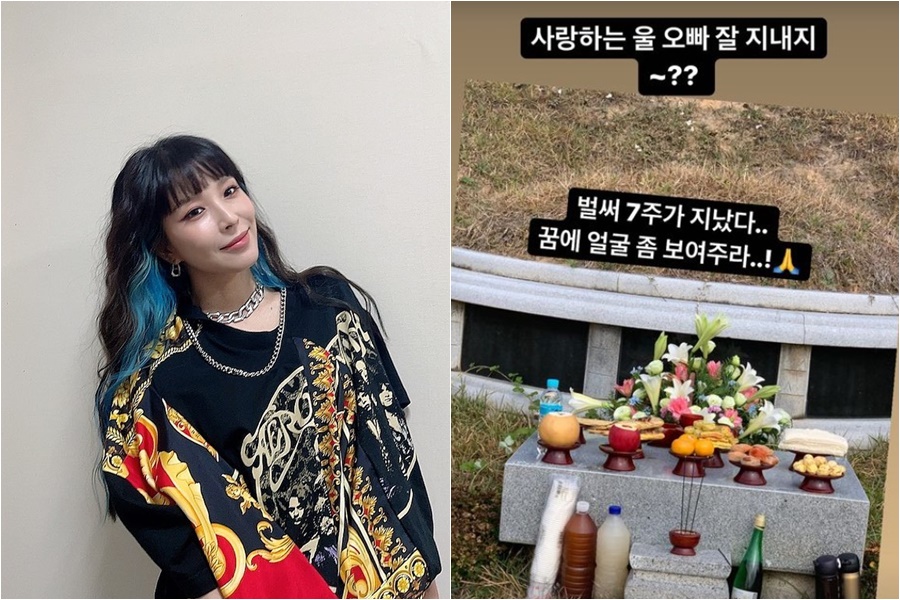 보아, 故권순욱 향한 그리움 어쩌나…"벌써 7주, 꿈에 얼굴 좀 보여줘"