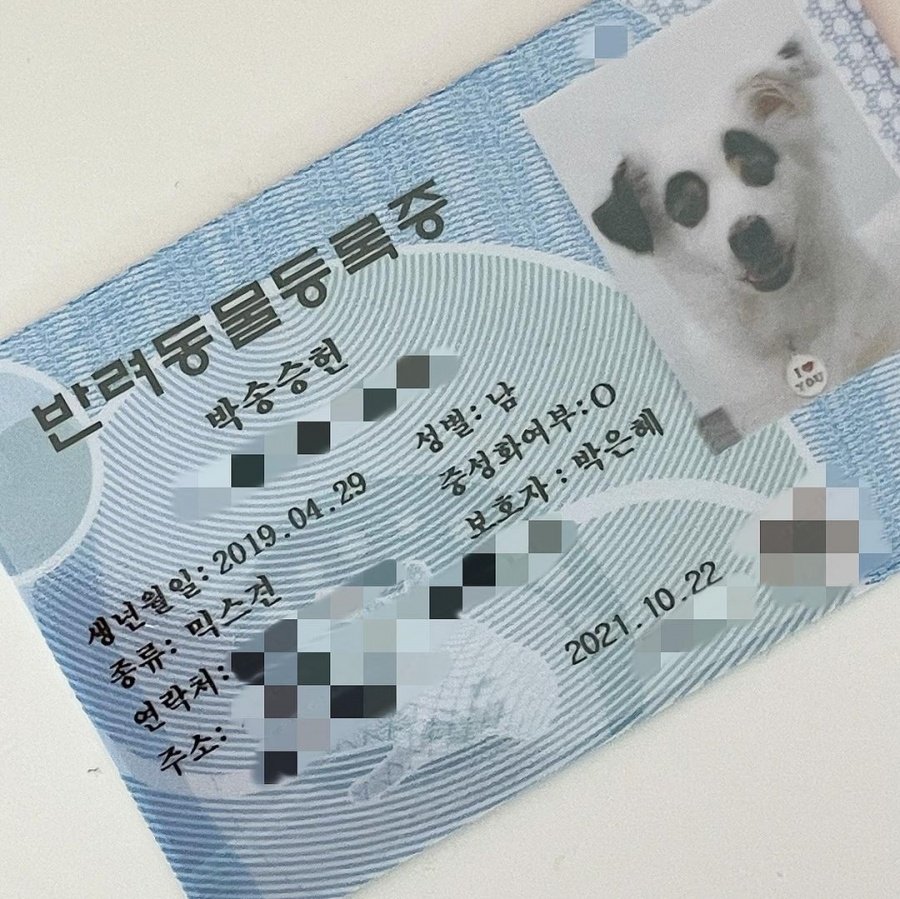 아이비, 송승헌 중성화시키더니 민증까지 만들어줬네…비주얼도 훤칠