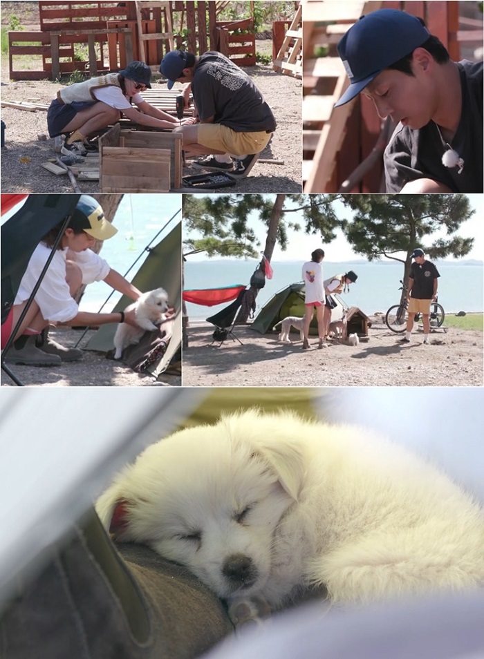 공효진→엄지원, 죽도犬 위한 펫 하우스 제작…1가구 1주택 이뤄질까('무해하게')