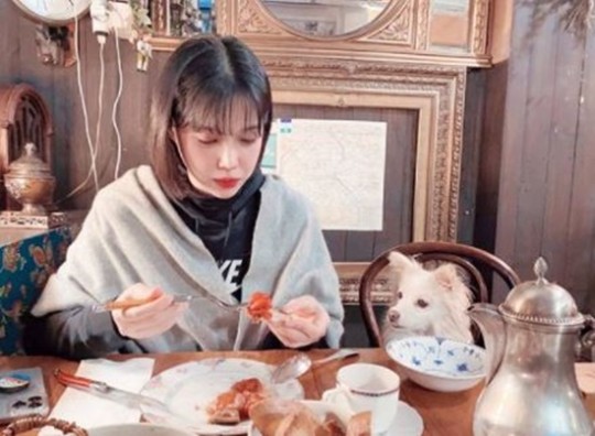 배다해, ♥이장원이 찍어줬나봐…자랑 안하곤 못배길 애정 뚝뚝 신혼