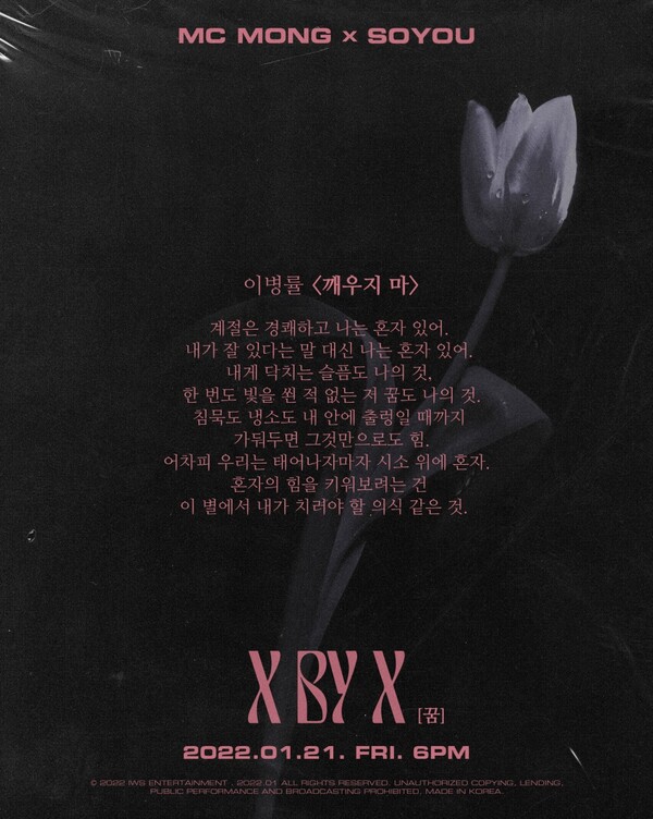 ▲ MC몽과 소유가 함께 하는 '엑스 바이 엑스 프로젝트' 이미지. 제공|밀리언마켓