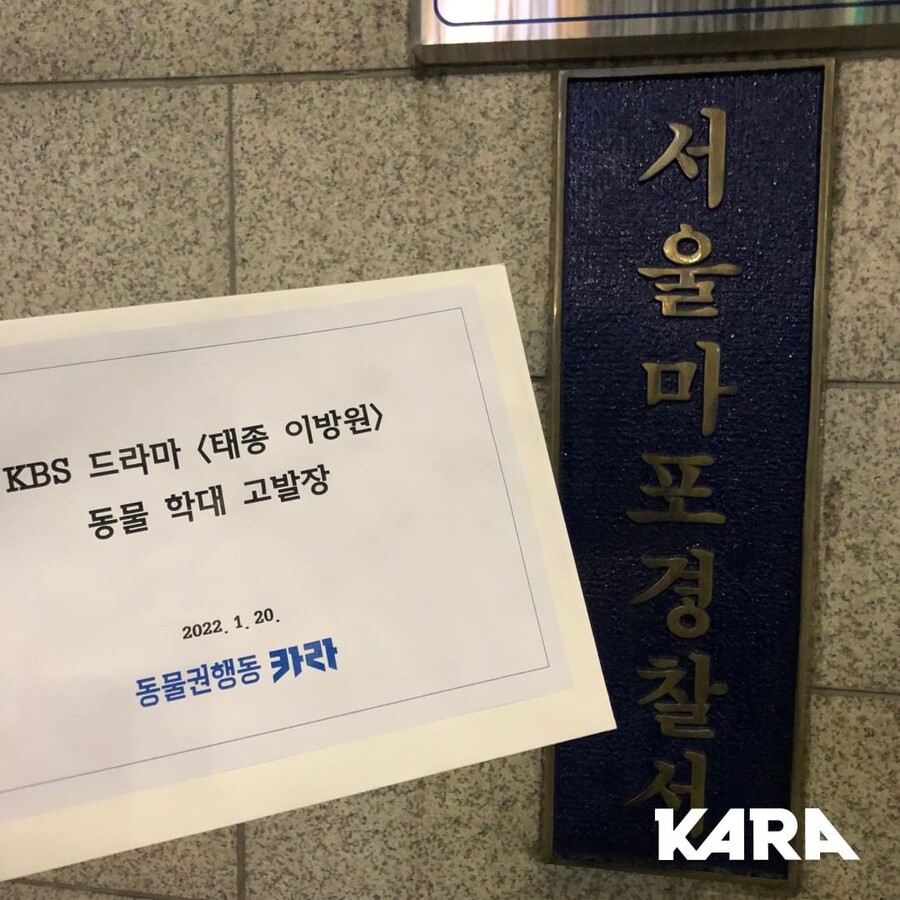 ▲ 출처|동물권행동 카라 공식 SNS