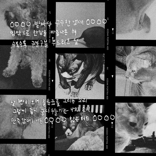 최자, 신곡 '패밀리' 가사 일부 선공개…반려견·반려묘 향한 애정 듬뿍
