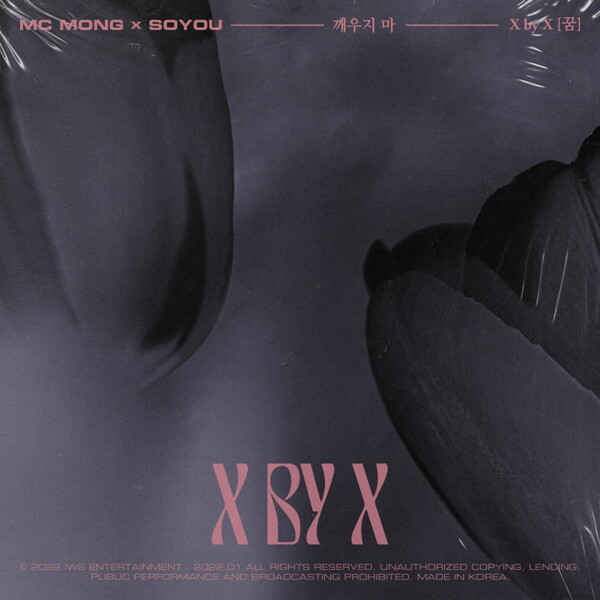 ▲ MC몽과 소유가 함께 한 '깨우지마' 커버 이미지. 제공|밀리언마켓