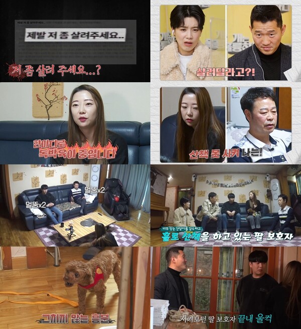 ▲ 24일 방송되는 '개는 훌륭하다'. 제공|KBS
