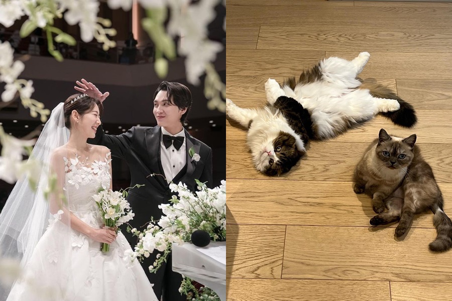 박신혜♥최태준, 결혼하자마자 일곱 식구 대가족 됐다…"믿기 어렵겠지만"