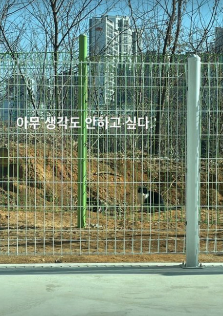 ▲ 출처|배수진 SNS