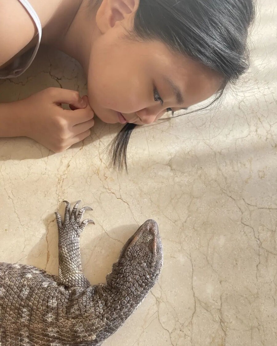 ▲ 출처|정시아 인스타그램