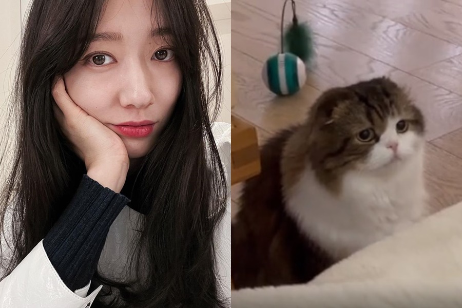 ▲ 박신혜. 출처| 박신혜 인스타그램