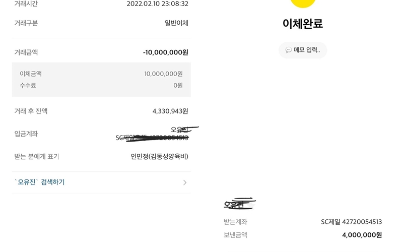 ▲ 김동성의 아내 인민정이 공개한 양육비 지급 내역. 출처| 인민정 인스타그램