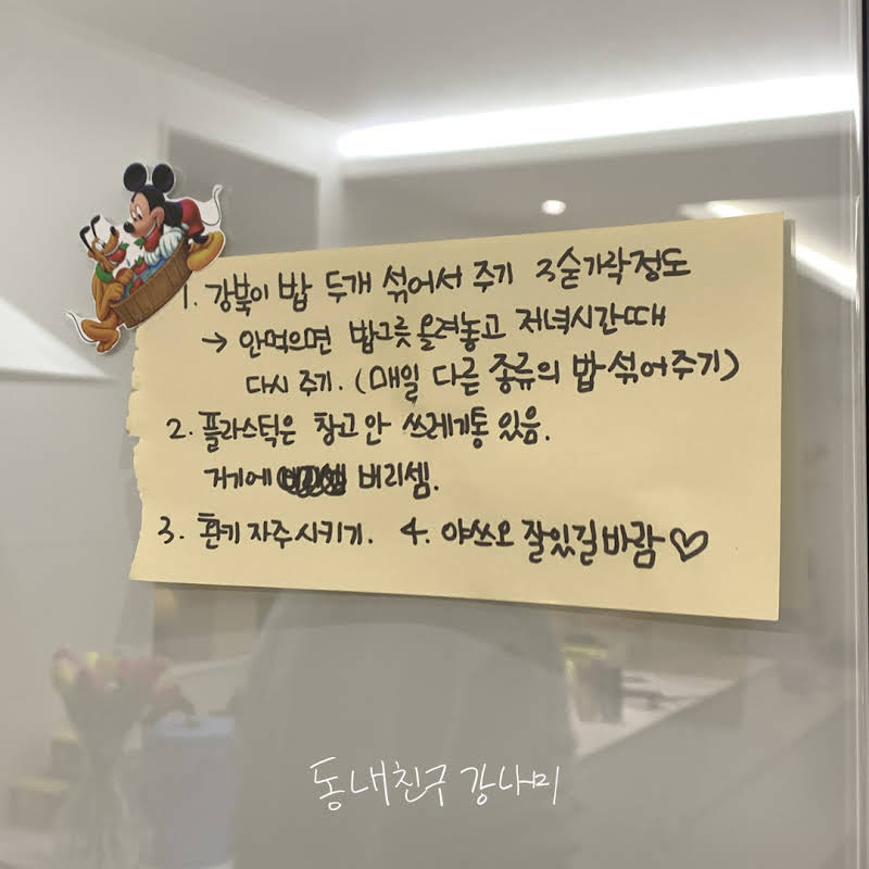 ▲ 출처| 유튜브 채널 '동네친구 강나미'