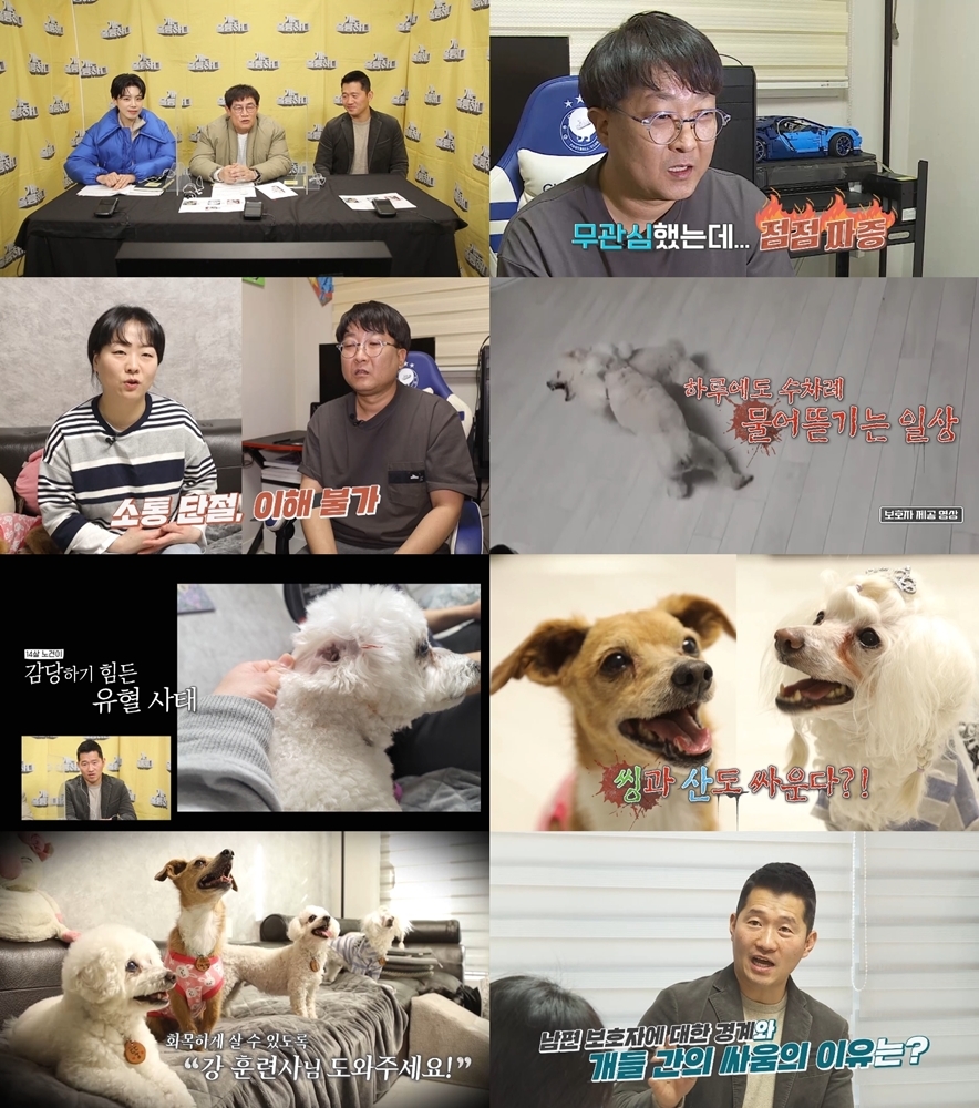“개를 모르는 게 죄인가요?” 무관심한 남편…‘개훌륭’ 강형욱 솔루션 통할까