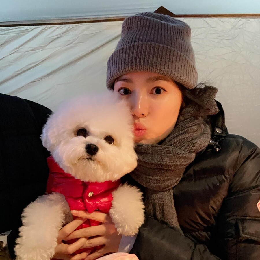 ▲ 출처|송혜교 인스타그램