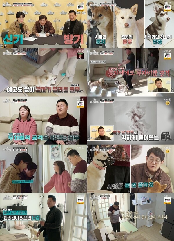 ▲ 28일 방송된 '개는 훌륭하다'. 방송화면 캡처