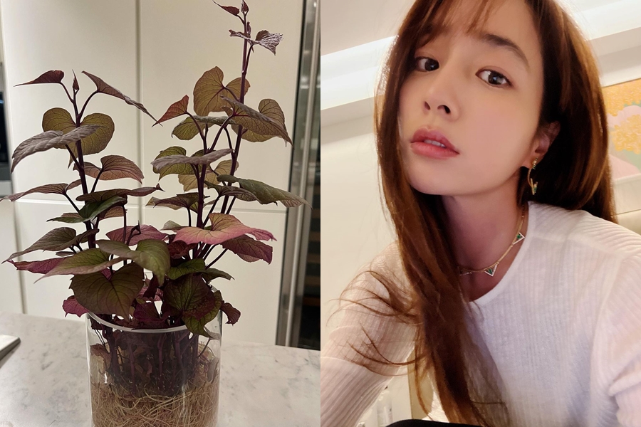 ▲ 출처|이민정 인스타그램