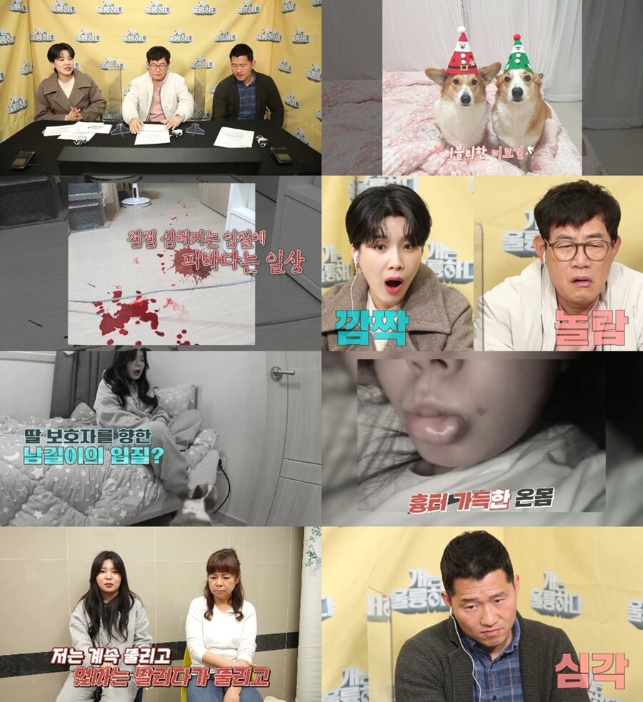 ▲ 제공|KBS2 '개는 훌륭하다'