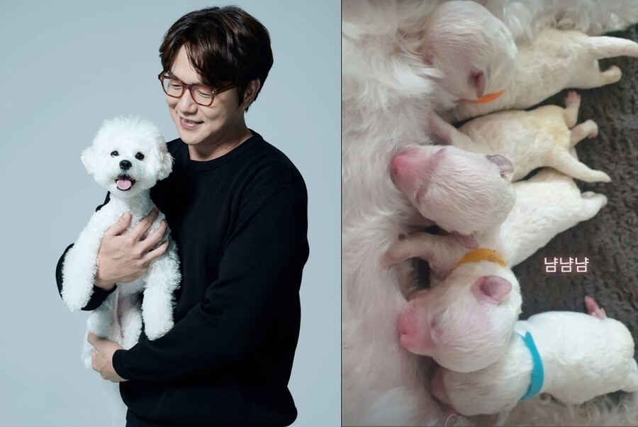 ▲ 출처|성시경 인스타그램