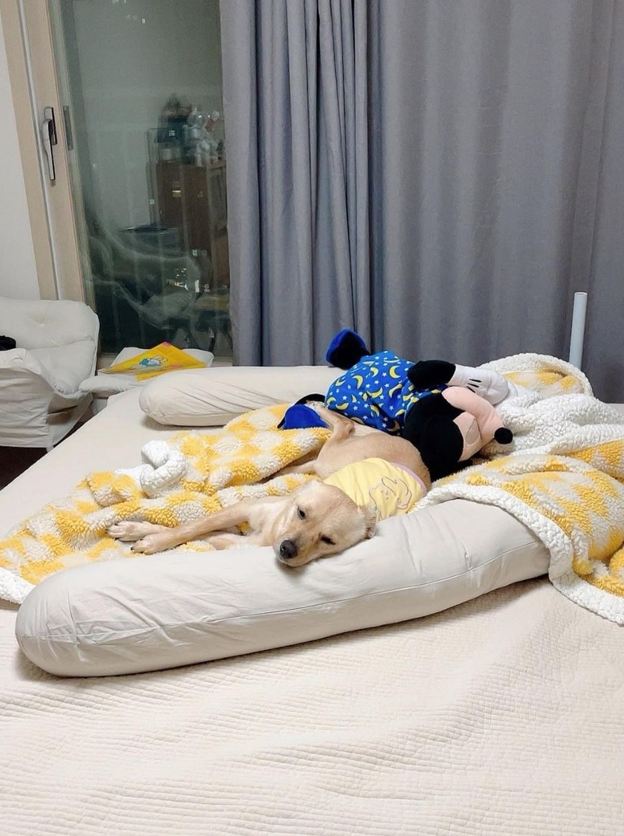 ▲ 출처| 김영희 인스타그램