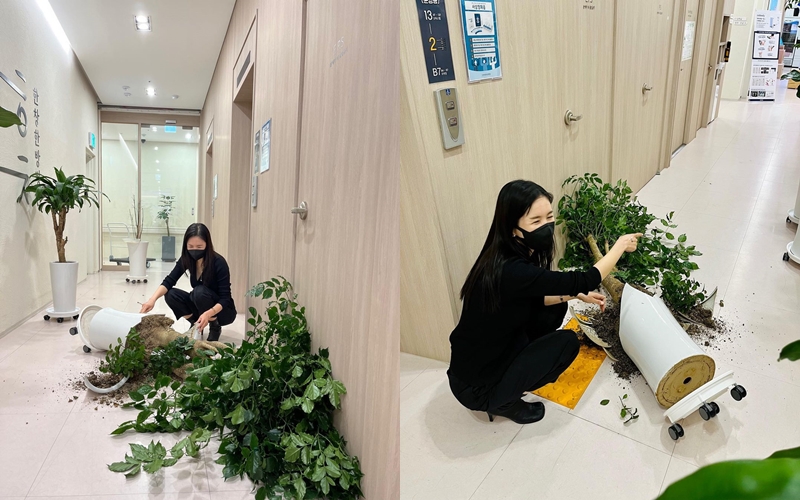 ▲ 출처| 장영란 인스타그램