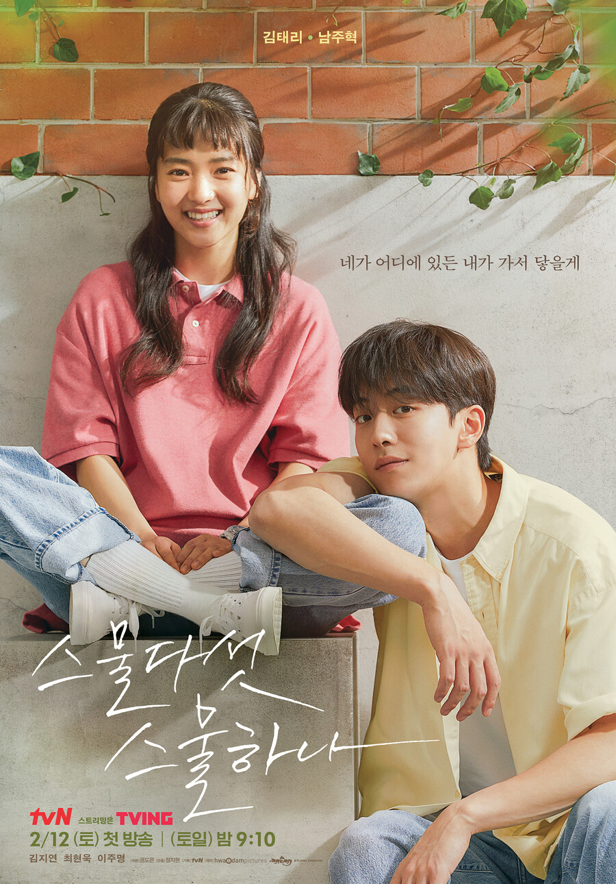 ▲ '스물다섯 스물하나' 포스터. 제공| tvN