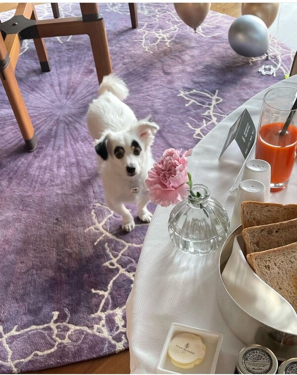 ▲ 출처|아이비 인스타그램