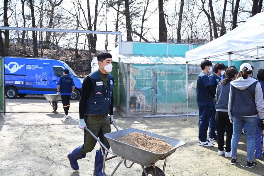 ▲ 손헌수. 출처|국경없는 수의사회 공식 인스타그램