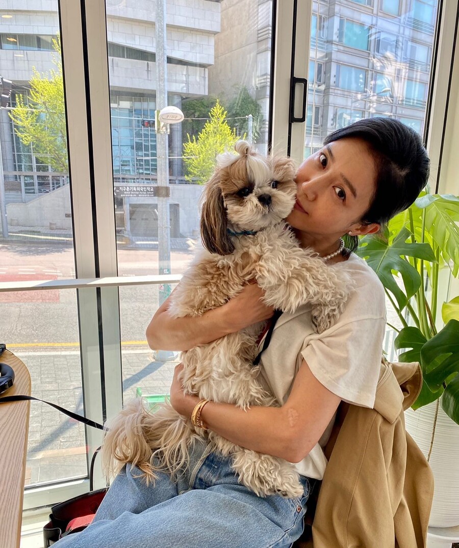 ▲ 출처|채정안 인스타그램