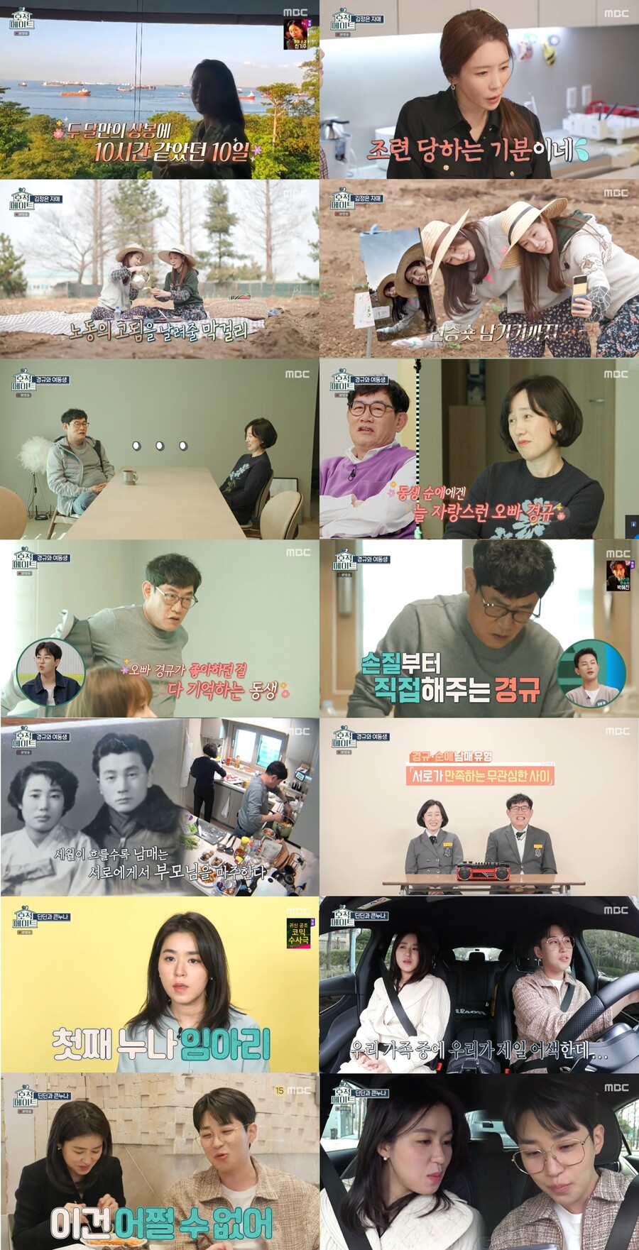 ▲ 제공|MBC '호적 메이트'