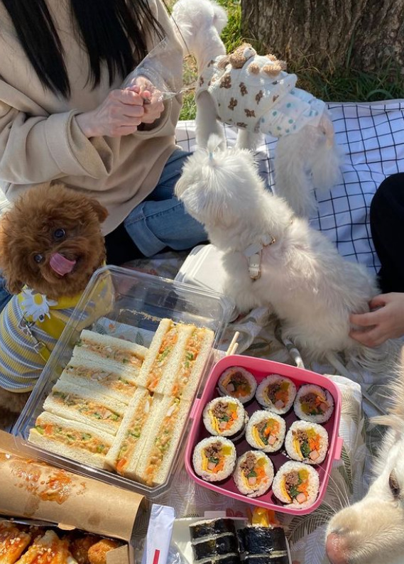 ▲ 출처| 장나라 인스타그램