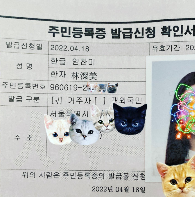 ▲ 출처| 찬미 인스타그램
