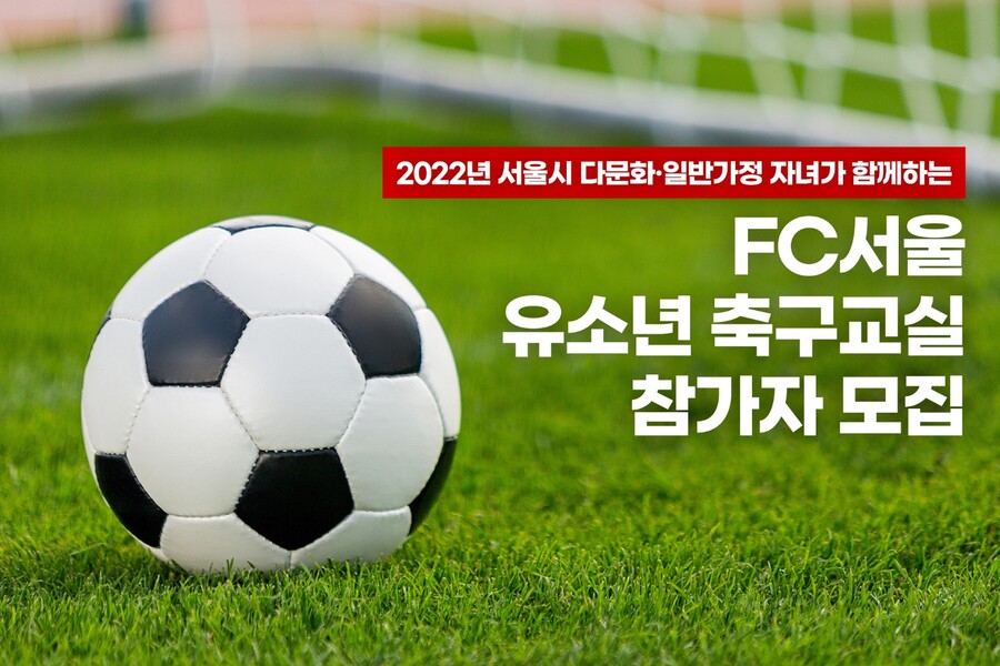 ▲ ⓒFC서울.