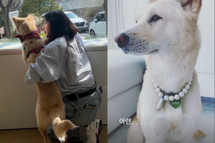 ▲ 출처|엄정화 인스타그램
