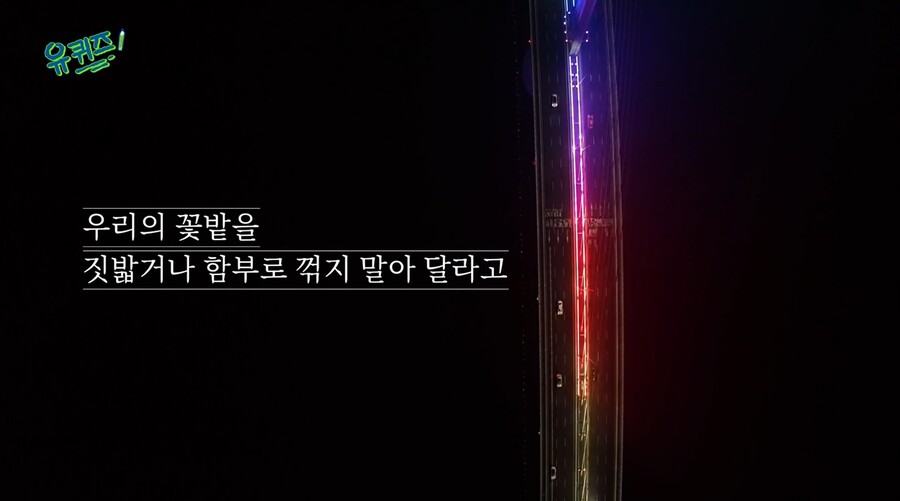 ▲ 출처|tvN '유퀴즈 온 더 블록' 방송화면 캡처