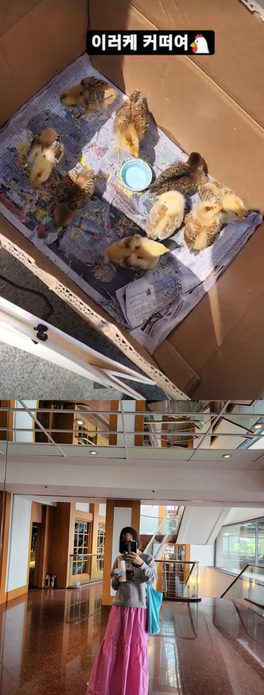 ▲ 황정음. 출처ㅣ황정음 인스타그램