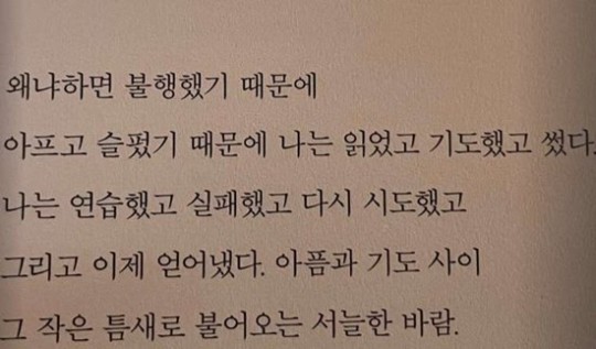 ▲ 최준희. 출처| 최준희 인스타그램
