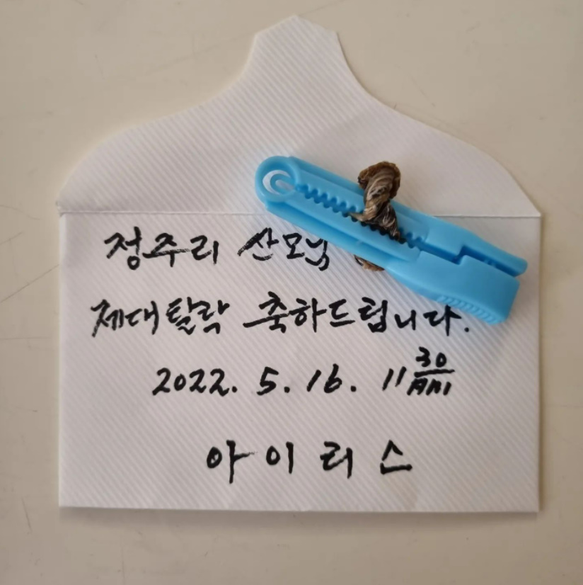 ▲ 출처| 정주리 인스타그램