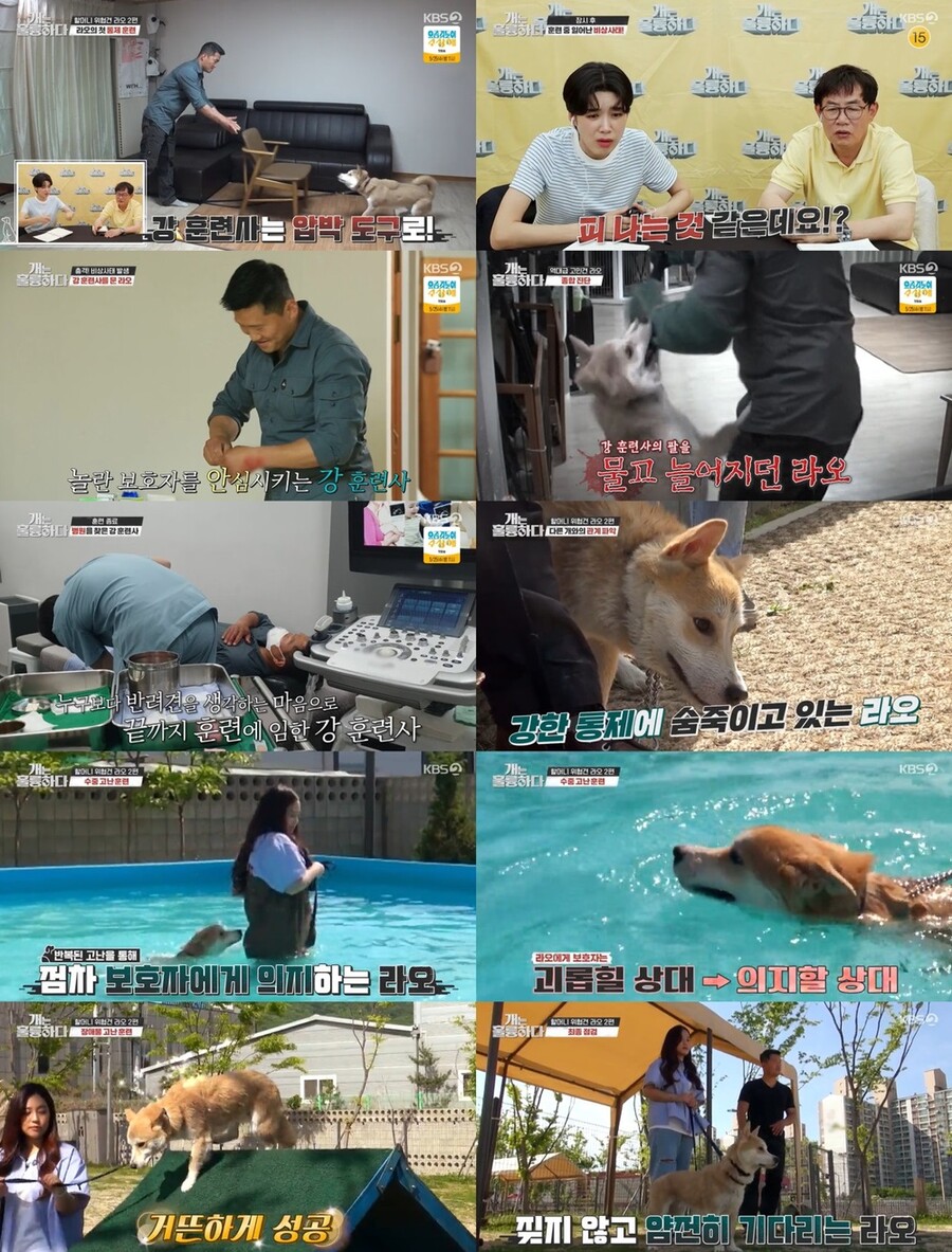강형욱, 고민견 입질로 부상…'개통령'다운 대처 능력('개훌륭')