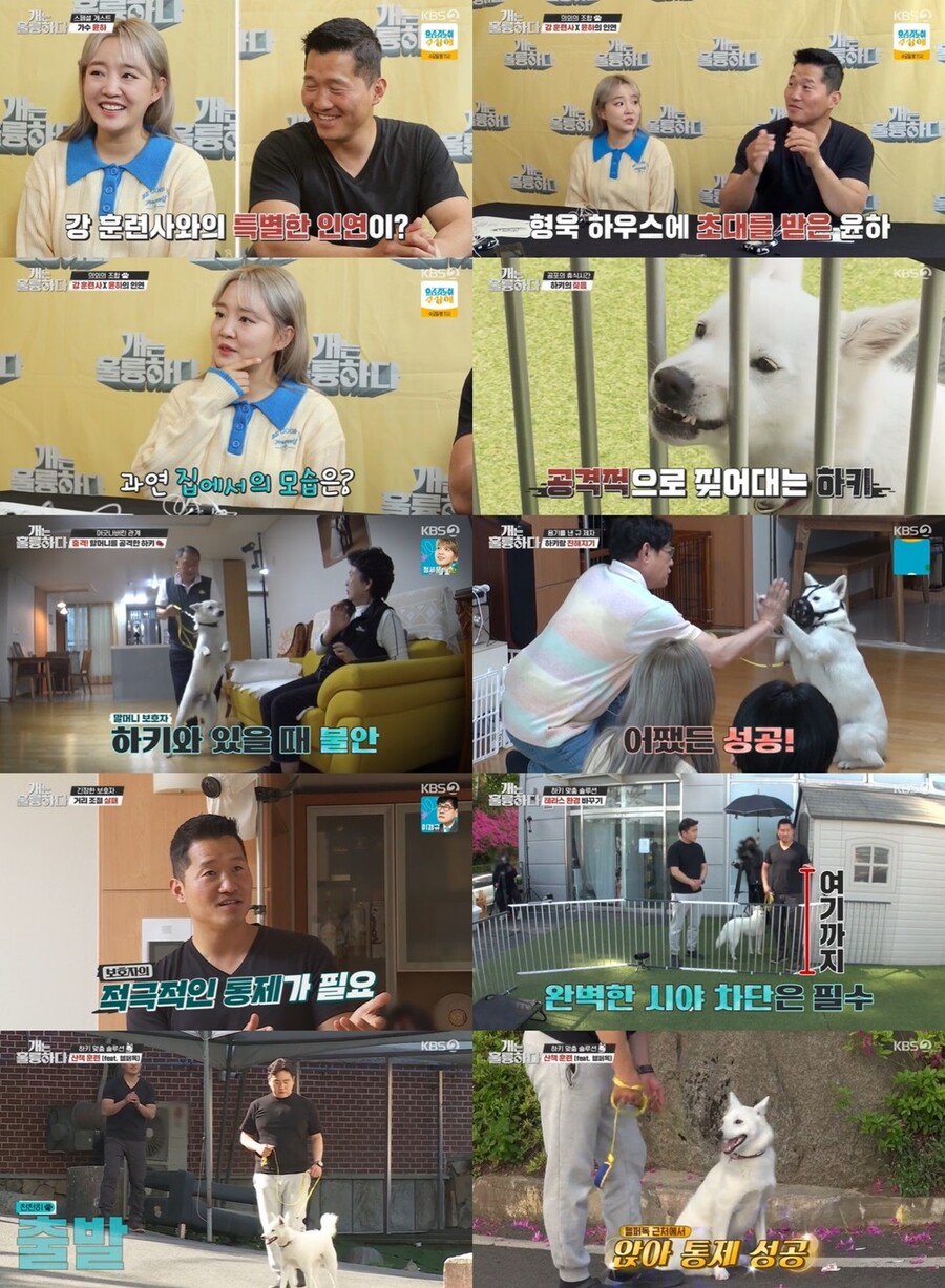 윤하, '개통령' 강형욱 실체 폭로 "개 키우는 집 다 똑같아"(개훌륭)[TV핫샷]