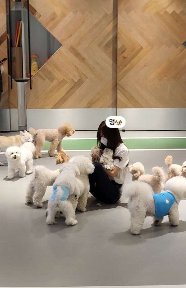 ▲ 출처|이솔이 인스타그램
