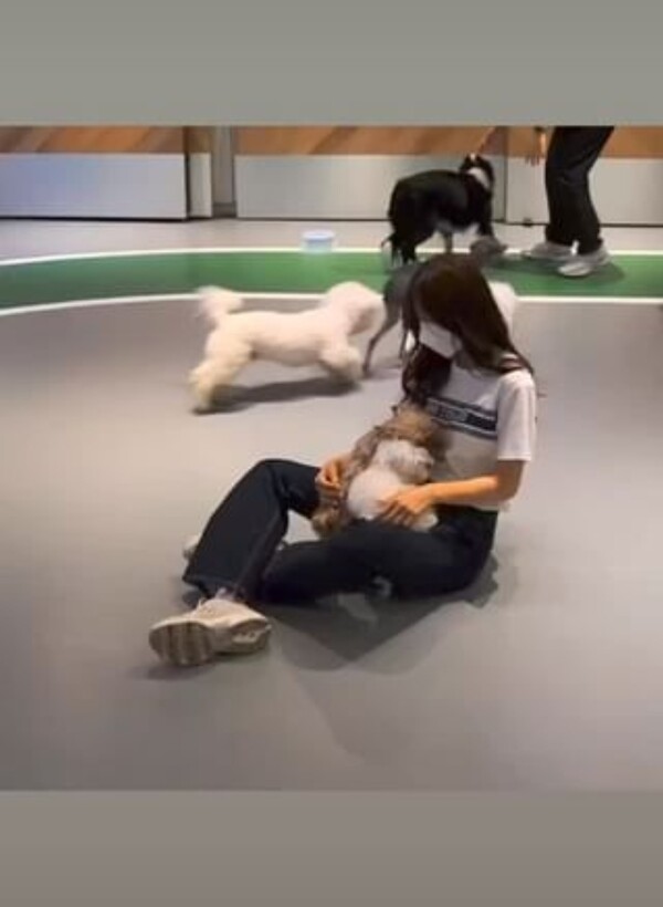 ▲ 출처|이솔이 인스타그램