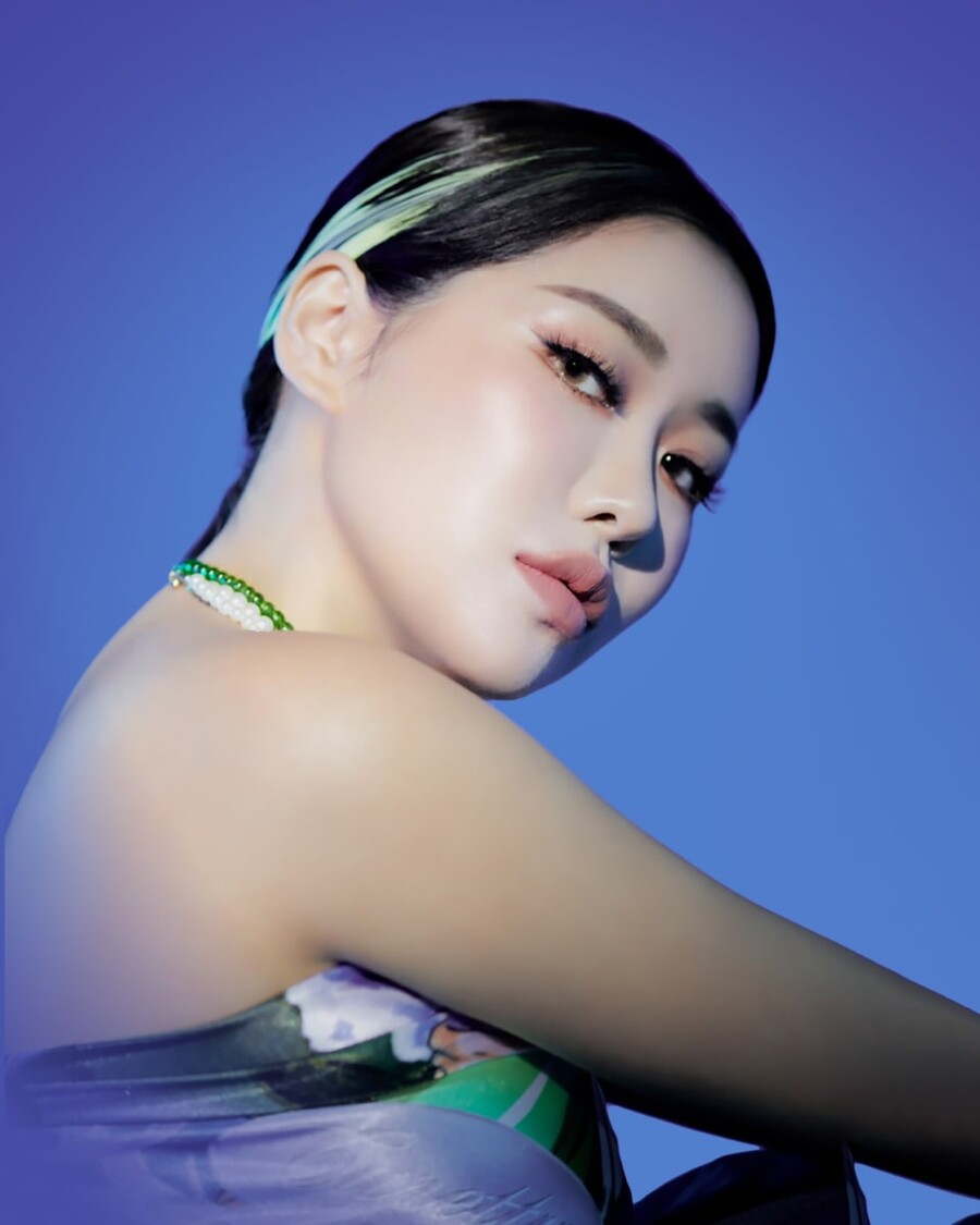 ▲ 퀸와사비. 제공| 빅크
