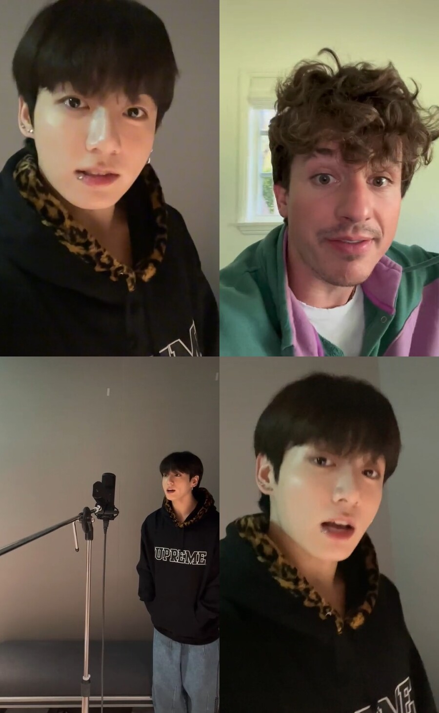 ▲ 정국(왼쪽), 찰리 푸스. 출처| 찰리 푸스 공식 틱톡