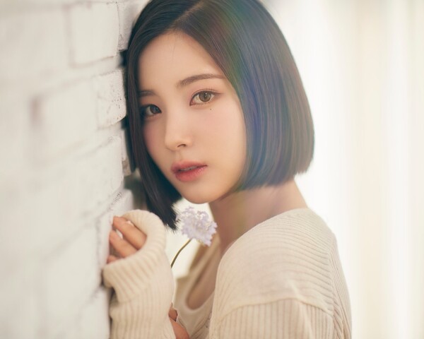 앨리스 소희, 18일 드림콘서트 레드카펫 MC로 활약