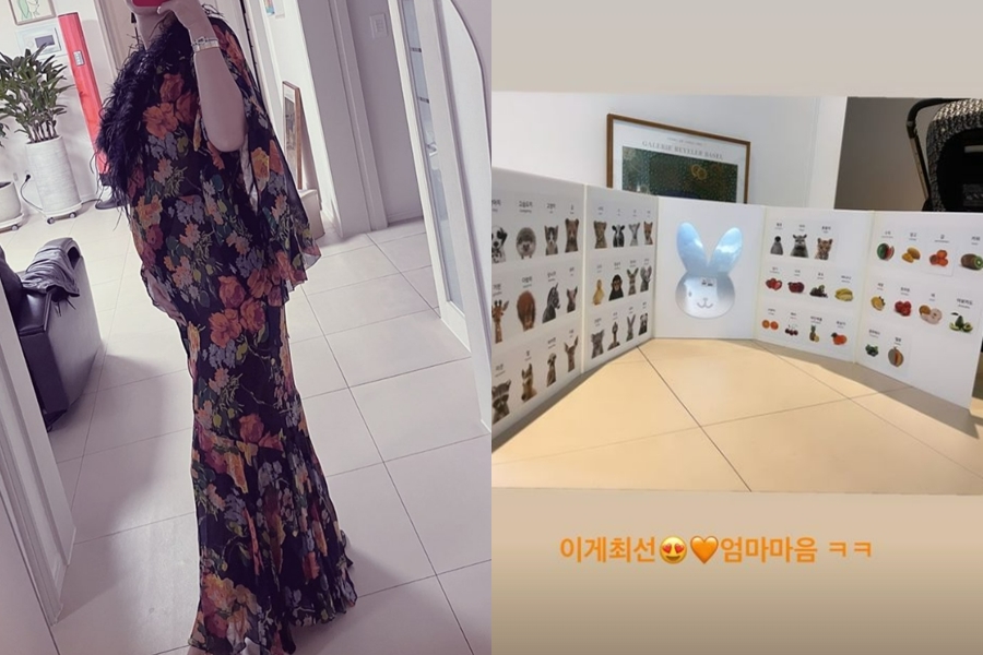 ▲ 장미인애. 출처| 장미인애 인스타그램