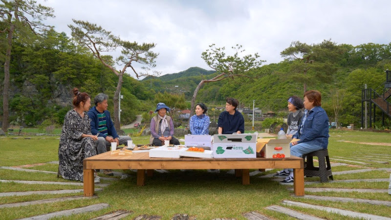 "이 결혼 하면 안되겠구나" 이경진, 36년전 파혼설 진실 최초 고백('같이삽시다')