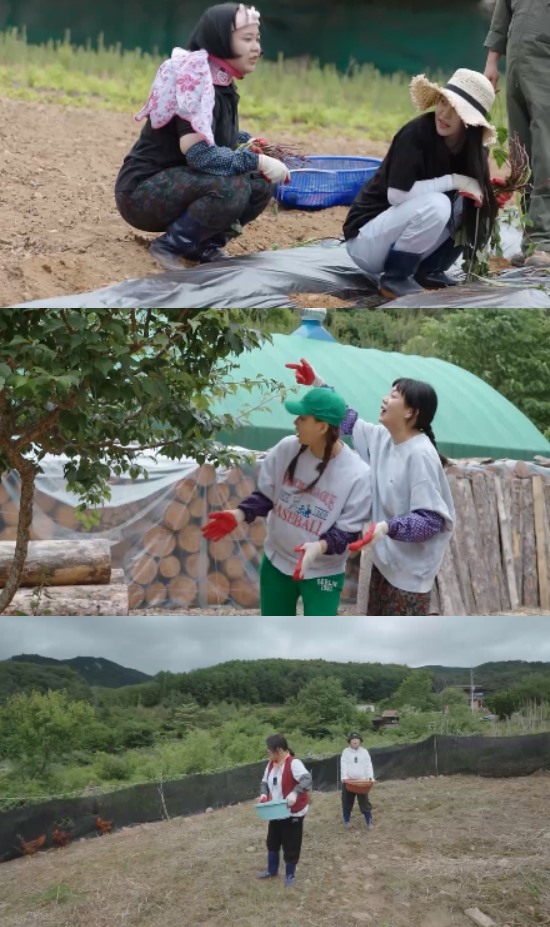'빼고파' 유정, '자급자족' 노동의 매력에 빠져…"단순노동, 잡생각 사라진다"