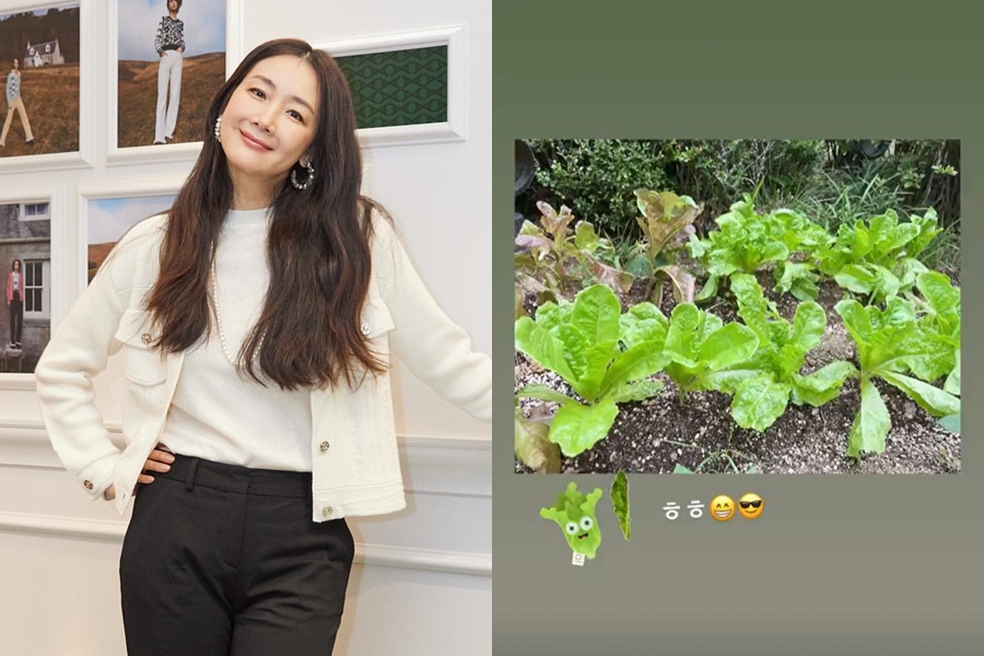 ▲ 출처|최지우 인스타그램