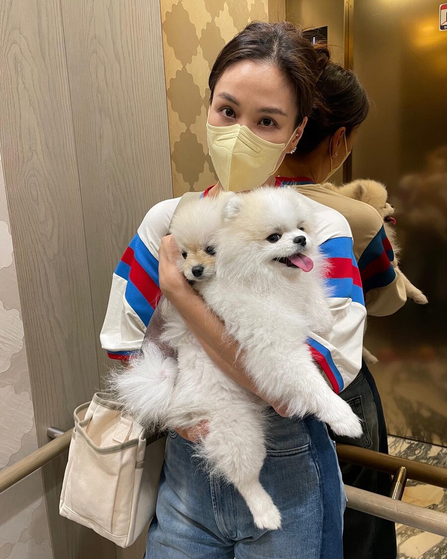 ▲ 출처|고소영 인스타그램