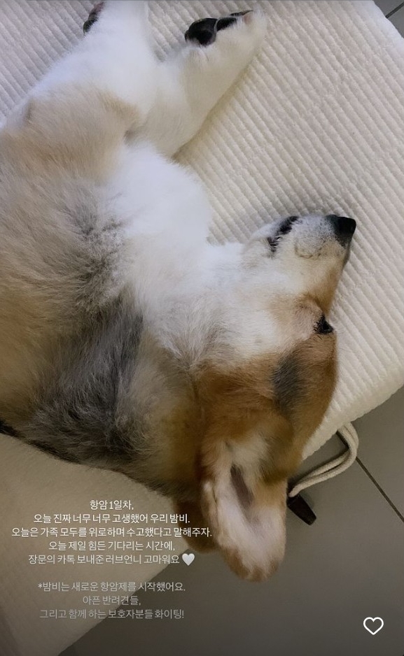 ▲ 출처|윤승아 인스타그램