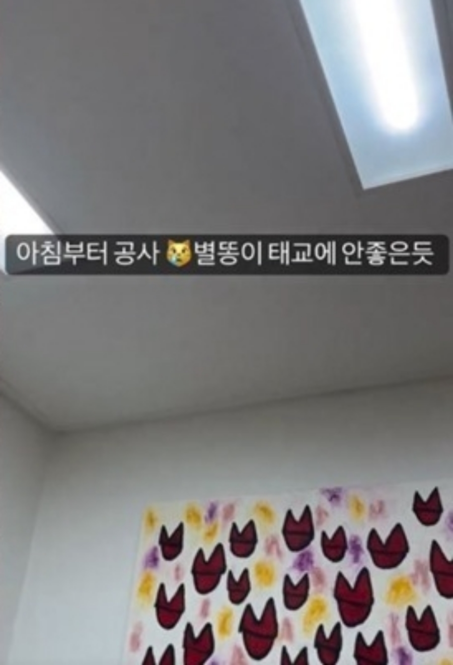 ▲ 출처| 장미인애 인스타그램